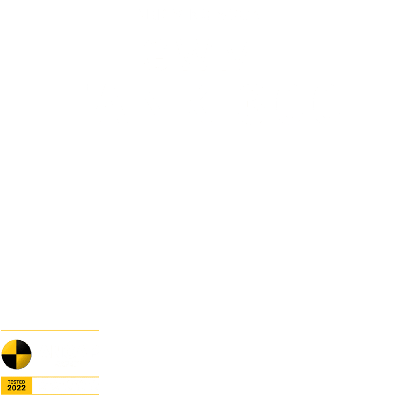 THE GWM TANK 300