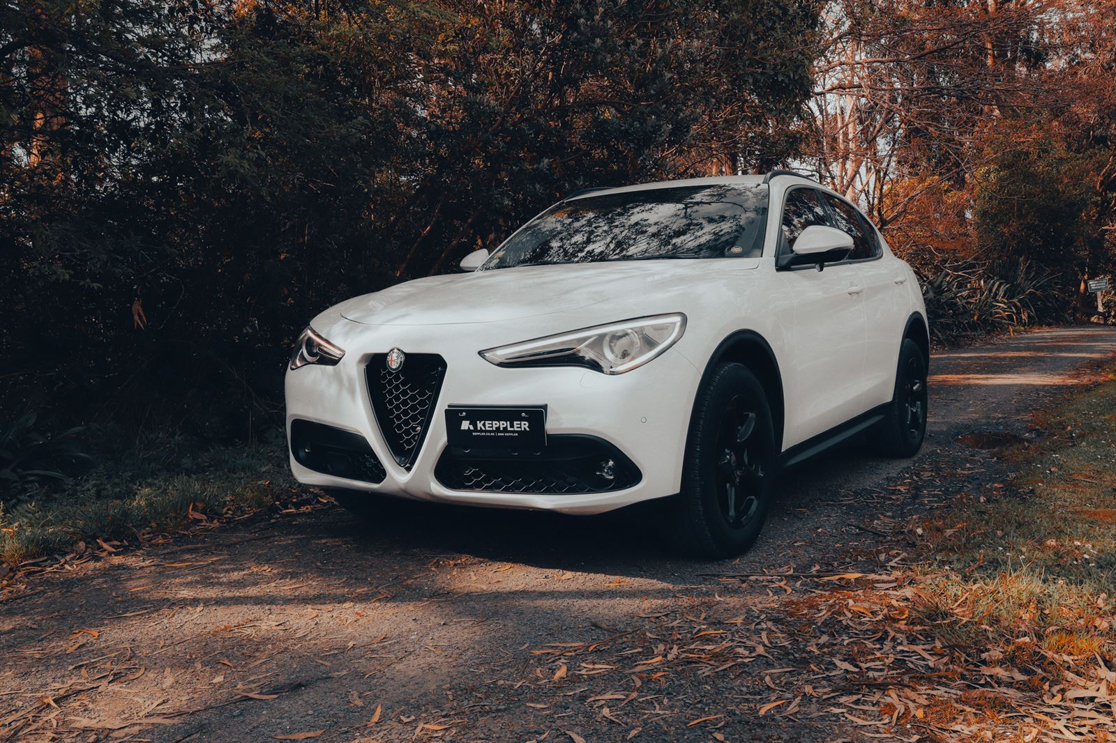 2019 Alfa Romeo Stelvio